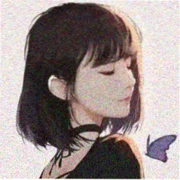 读者 沈禾 的头像